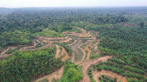 Musibah Aceh Bersumber dari Leuser, Dana Besar Apa Peran Lembaga?