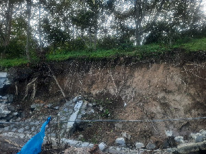 12.638 Hektare Kebun Kopi di Aceh Tengah Rusak Akibat Bencana