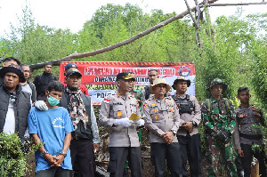 Polres Aceh Besar Musnahkan Ladang Ganja di Pegunungan Lembah Seulawah