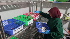 UDD PMI Banda Aceh Butuh 300 Kantong per Hari untuk Penuhi Darah Pasien