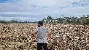 Yayasan HAkA: Deforestasi Picu Banjir Berulang di Aceh