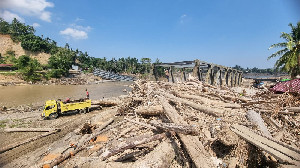 Data FWI: Kerusakan Hutan Aceh Capai 177 Ribu Hektare dalam Tujuh Tahun