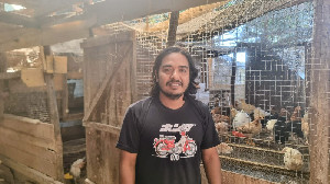 Imbas Banjir, Harga Ayam di Aceh Naik Akibat Pasokan Berkurang