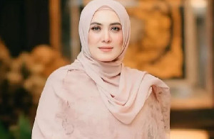 Datin Seri Vie Shantie Khan, Investor Strategis atau Risiko Politik bagi Aceh?