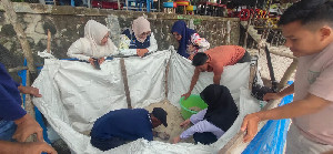 Kompak Konservasi Bahari Berhasil Tetaskan 78 Telur Penyu Sisik di Sabang