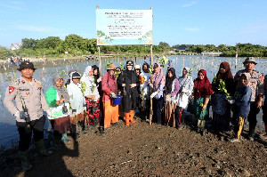 Wali Kota Banda Aceh dan Kapolda Aceh Tanam 10 Ribu Mangrove di Pesisir Alue Naga