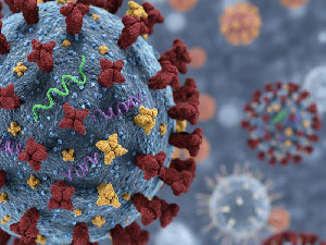 Kemenkes Ungkap 62 Kasus Influenza Subclade K