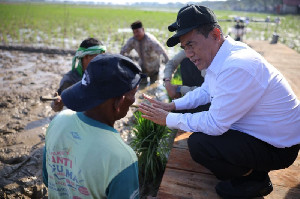 Pulihkan 98 Ribu Hektare Lahan, Mentan Libatkan Petani Lewat Skema Padat Karya