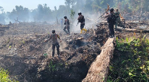 Tim Gabungan Tangani Karhutla Seluas 30 Hektare di Trumon Timur