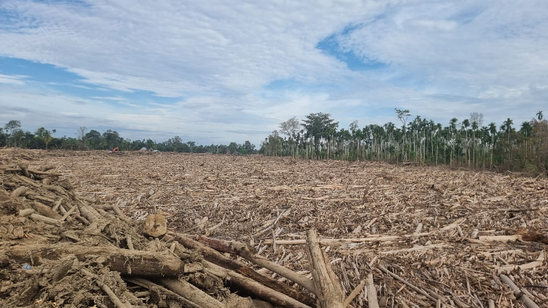 APEL GREEN Desak APH Selidiki Asal-usul Kayu Gelondongan Saat Banjir di Aceh