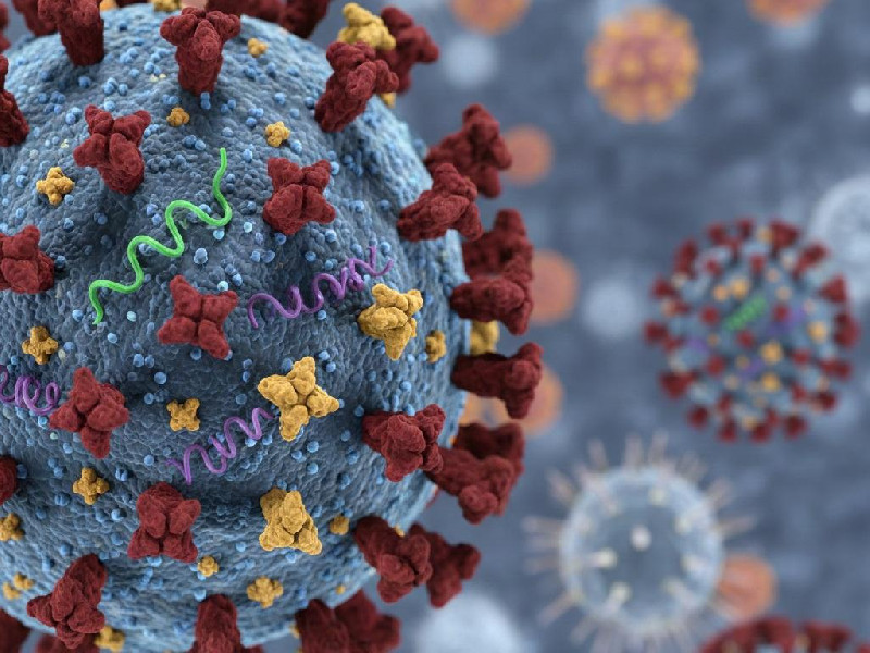 Kemenkes Ungkap 62 Kasus Influenza Subclade K