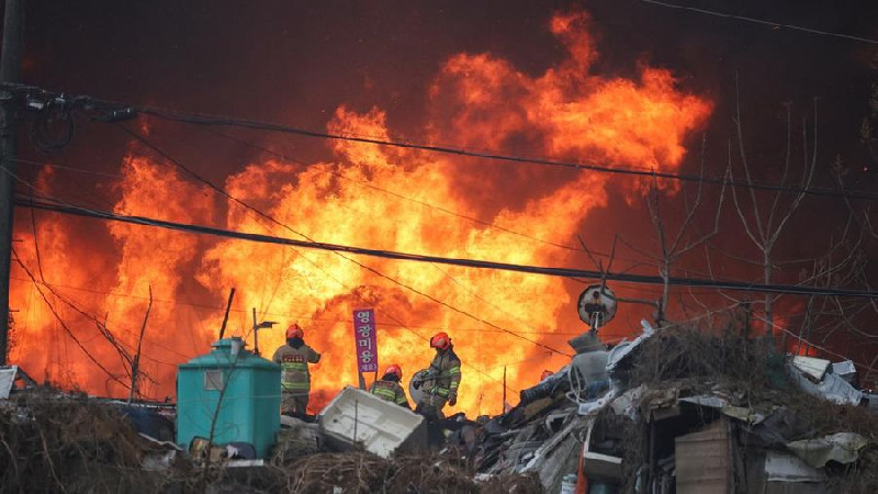 Kebakaran Landa Desa Guryong Seoul, Puluhan Warga Mengungsi