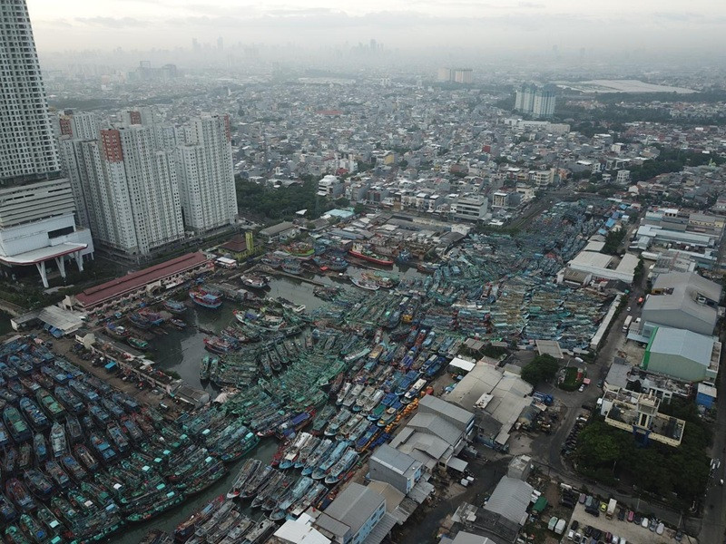 KKP Moratorium Izin Kapal di PPN Muara Angke Mulai Januari 2026