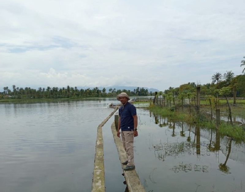 Hadapi Cuaca Ekstrem, Petani Darussalam Aceh Besar Mulai Tanam Akhir Januari 2026