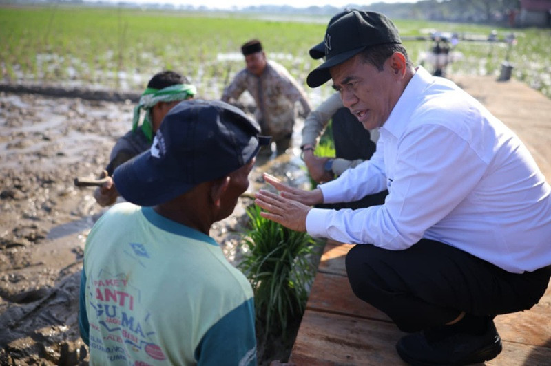 Pulihkan 98 Ribu Hektare Lahan, Mentan Libatkan Petani Lewat Skema Padat Karya