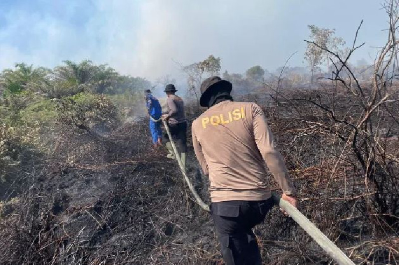 Api di Lahan Gambut Suak Nie Berangsur Terkendali, Tim Gabungan Tetap Siaga