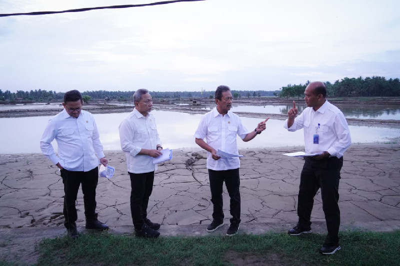 Imbas Banjir, KKP Identifikasi 30 Ribu Hektare Tambak Budidaya Perikanan di Aceh