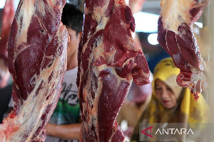 Bantuan Presiden untuk Meugang Antara Daging dan Uang