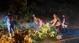Gerak Cepat Polisi dan Damkar Evakuasi Pohon Tumbang di Aceh Selatan