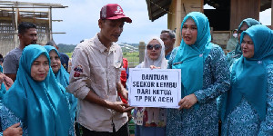 Kak Na Serahkan Bantuan Sapi Meugang di tiga Gampong Aceh Utara