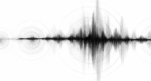Gempa Dangkal Magnitudo 4,1 Guncang Bener Meriah