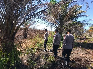 Tak Mau Kecolongan! Polisi Sisir Lahan Rawan Karhutla di Aceh Barat