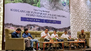 Data HaKA: Aceh Kehilangan Tutupan Hutan 39.687 Hektare Sepanjang 2025