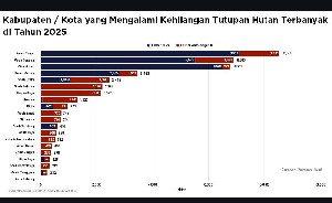 Ini Daftar Kabupaten/Kota Kehilangan Tutupan Hutan Terbanyak di 2025, Aceh Timur Terbanyak
