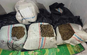 Polda Aceh Gagalkan Pengiriman 50 Kg Ganja di Bireuen