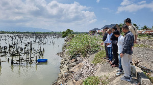 Aceh Punya Potensi Besar Jadi Sentra Budidaya Tiram di Sepanjang Pesisir