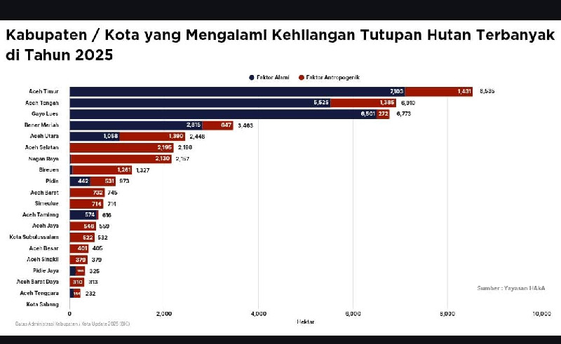 Ini Daftar Kabupaten/Kota Kehilangan Tutupan Hutan Terbanyak di 2025, Aceh Timur Terbanyak