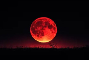 Gerhana Bulan Total "Blood Moon" Bakal Hiasi Langit Indonesia pada 3 Maret 2026