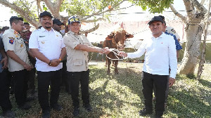Bantuan Daging Meugang Buktikan Kedekatan Kepemimpinan Aceh dengan Presiden Prabowo