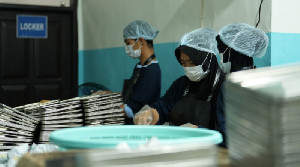 Ribuan SPPG Ditutup Sementara, Ini Biang Keroknya