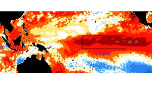 El Nino &lsquo;Godzilla&rsquo; Mengintai, Stok Pangan Nasional Aman? Ini Data Terbarunya