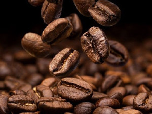 Ketegangan Iran dan Israel-AS Bayangi Ekspor Kopi Indonesia, Petani Aceh Terancam Tertekan