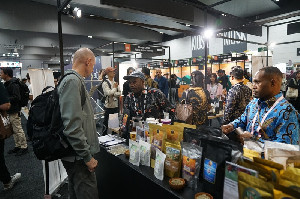 Tancap Gas di MICE 2026, Kopi Indonesia Bidik Pasar Australia Lebih Agresif