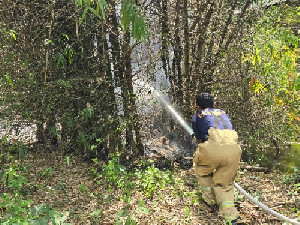 Warga Sempat Panik, Kebakaran Rumpun Bambu di Aceh Besar Berhasil Dikendalikan