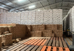 Stok Beras Tembus 4 Juta Ton, Regulasi Jadi Kunci Jaga Stok dan Harga
