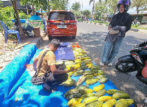 Ramadan 1447 H, Timun Suri Jadi Takjil Favorit Masyarakat Aceh