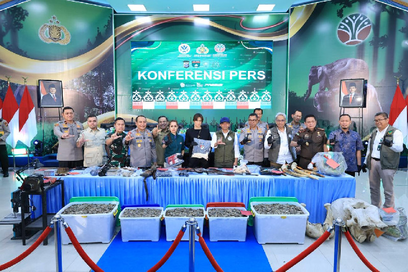 Polisi Bekuk 15 Tersangka Jaringan Perburuan Gajah Sumatera Lintas Provinsi