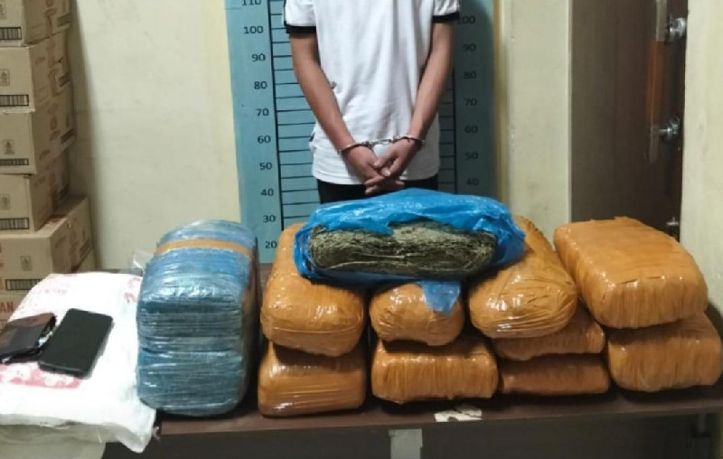 Polisi Gagalkan Peredaran 17,8 Kg Ganja di Aceh Tenggara, Pelaku Mahasiswa Ditangkap