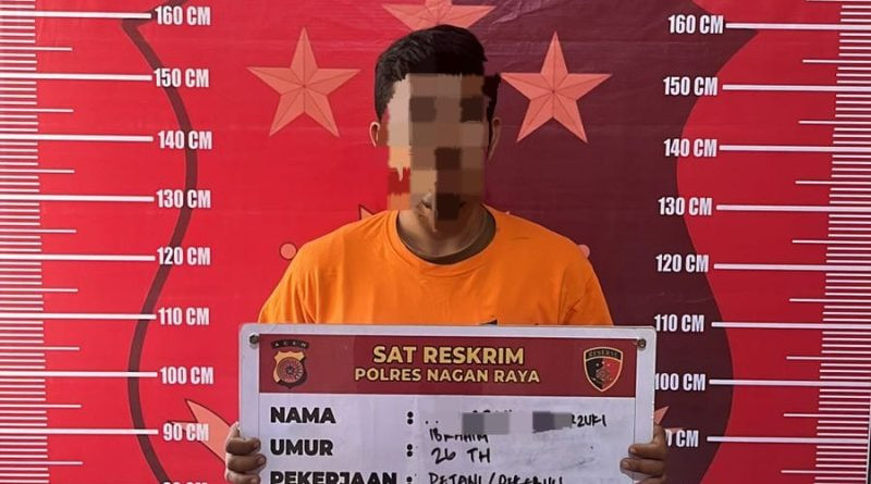 Polres Nagan Raya Kembali Ringkus Komplotan Pencuri Sawit PT Fajar Baizuri