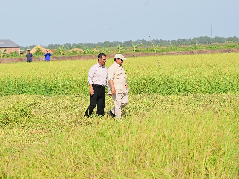 Hadapi El Nino, Pemerintah Klaim Cadangan Beras Tertinggi Sepanjang Sejarah