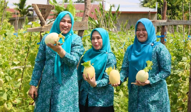 Cerita Tiga Srikandi, Panen Melon hingga Menikmati Tempe Koro