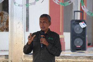 Petani Bireuen Mulai Tanam Lagi di Lahan Bekas Bencana, Ini Kata Plt Kadistanbun Aceh
