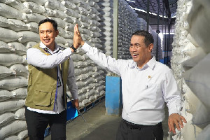 Stok Beras BULOG Tembus 5 Juta Ton, Aceh Aman dengan 65 Ribu Ton