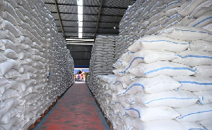 Stok Beras Tembus 5 Juta Ton, Pemerintah Klaim Siap Hadapi Ancaman Krisis Global
