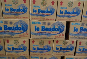 BUMG Ie Beudoh Moncer, Bantuan Baitul Mal Aceh Hasilkan Rp12 Juta per Bulan