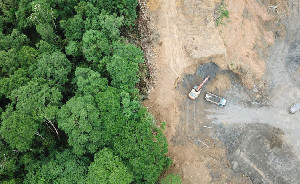 Langkah Berani Brasil: Kredit Pertanian Kini Harus Lolos Verifikasi Deforestasi